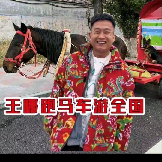 王哪跑(马车游全国)
