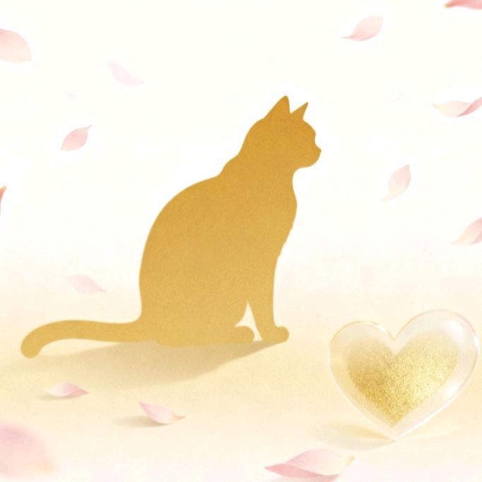 宠物用品（祭祀）