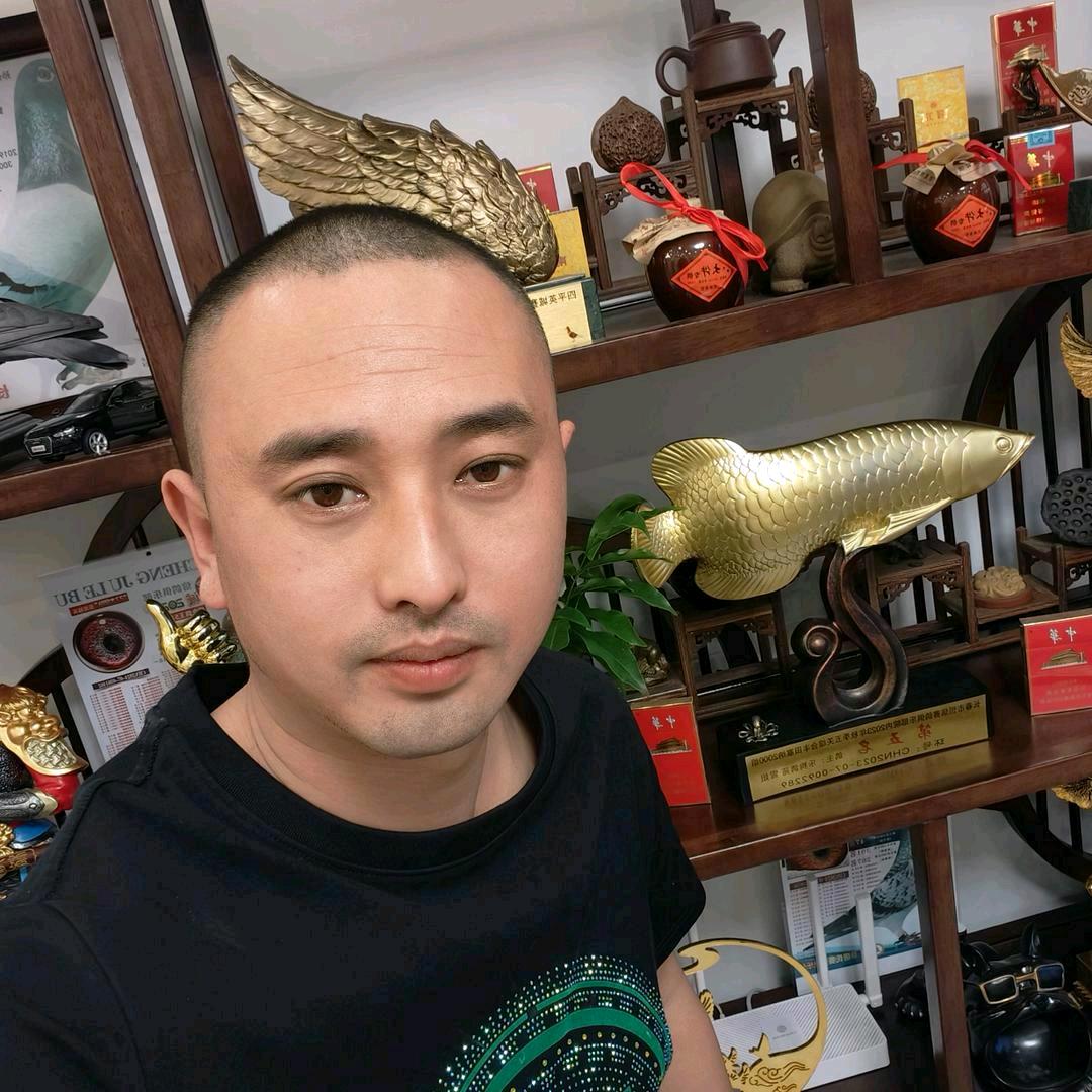 默默鸽苑，振华国际赛鸽