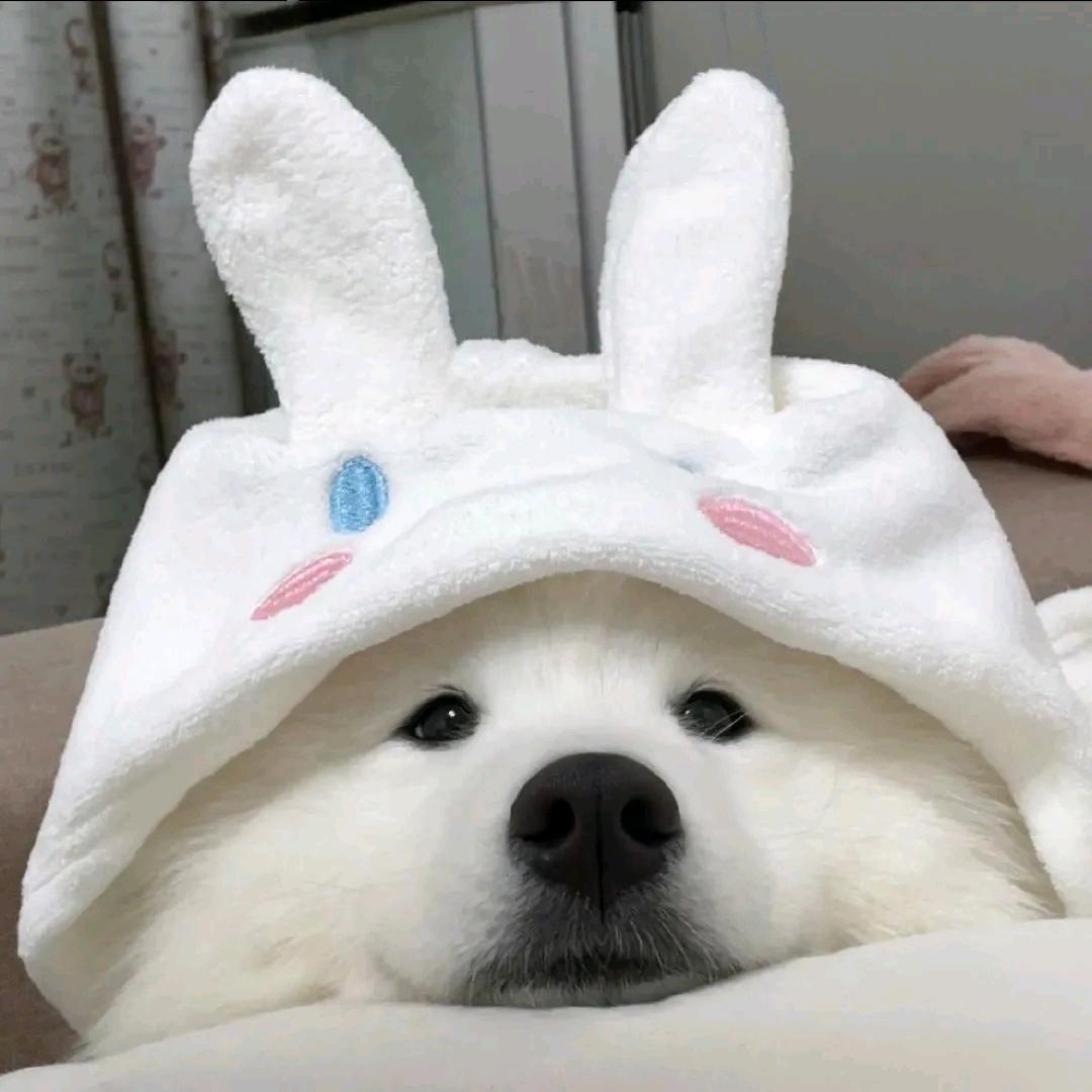 三句