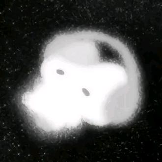 宅