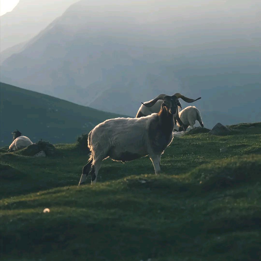 群加山水农庄（黑峡景区）