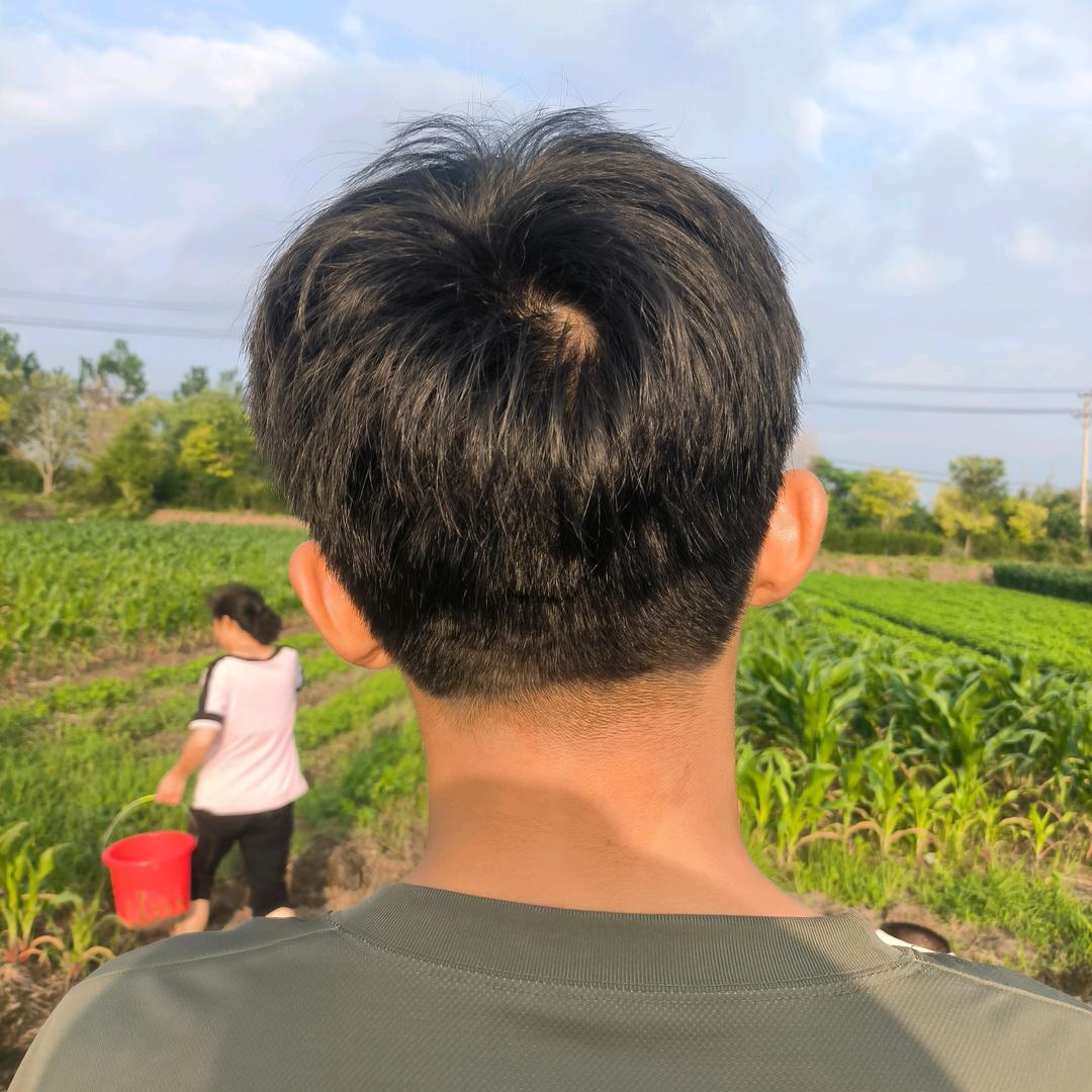 陌上花开缓缓归