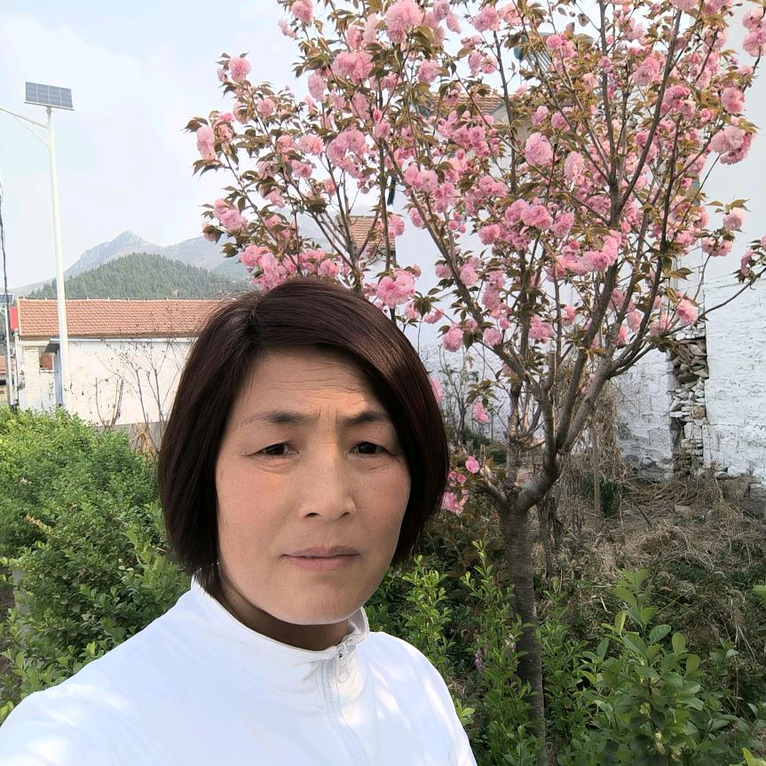 🌸红妮