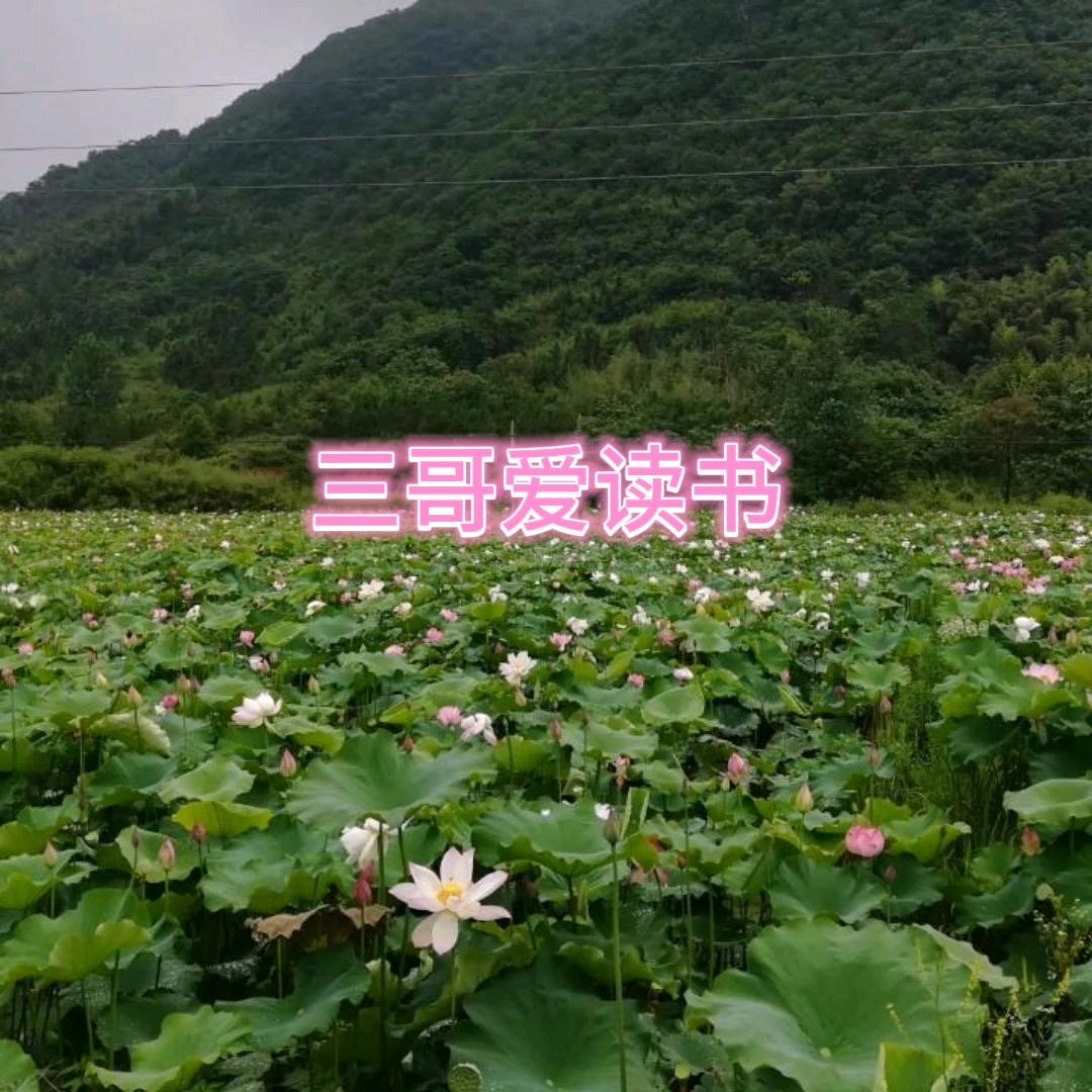 和三哥一起读书