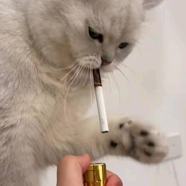 小力士