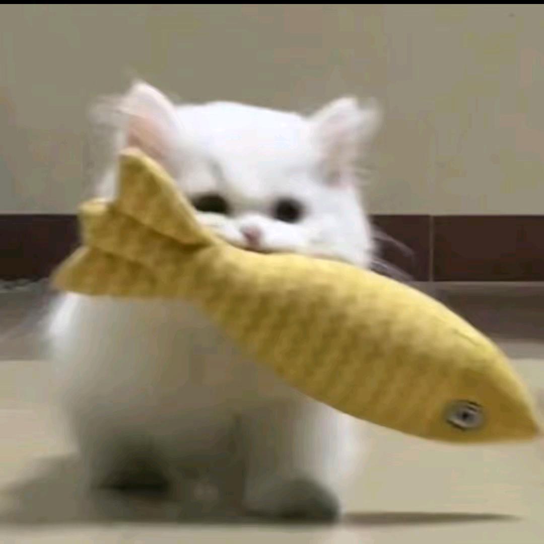 岛於^