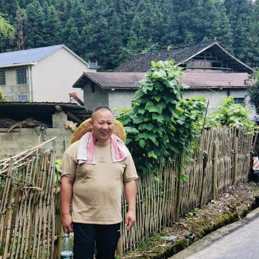 特大灵芝开拓者一山村康哥