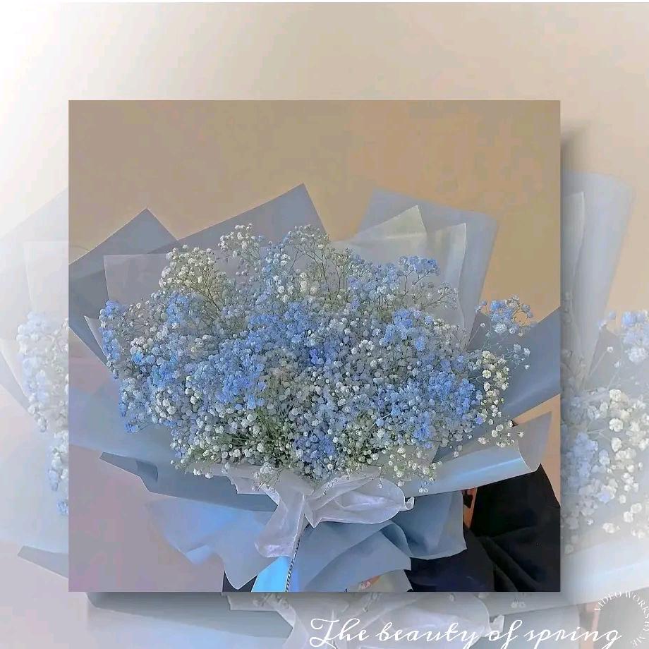 ㅤㅤㅤㅤㅤㅤㅤㅤㅤㅤㅤㅤㅤㅤㅤㅤㅤ🌸⁷