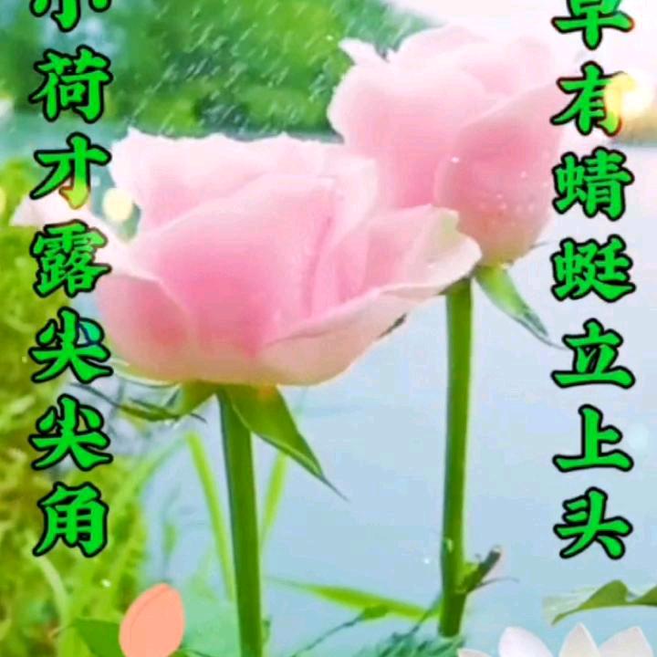冬天的雪