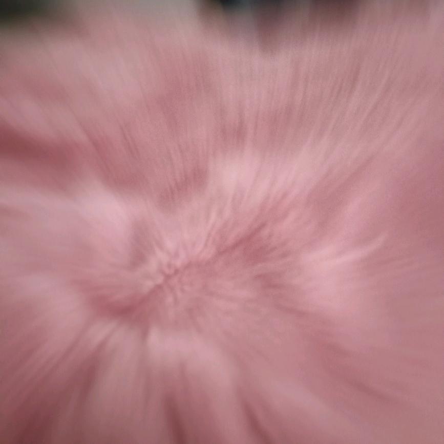 辉辉(๑><๑）星星