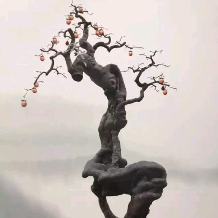 木 林 森