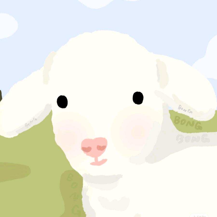 晚晚✨（见过薛之谦版）