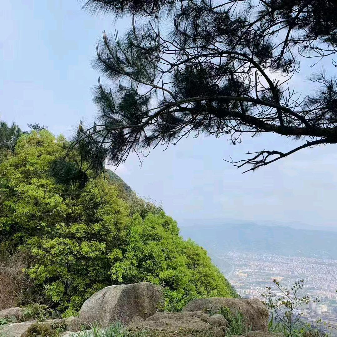 安溪县城厢星愿百货商行