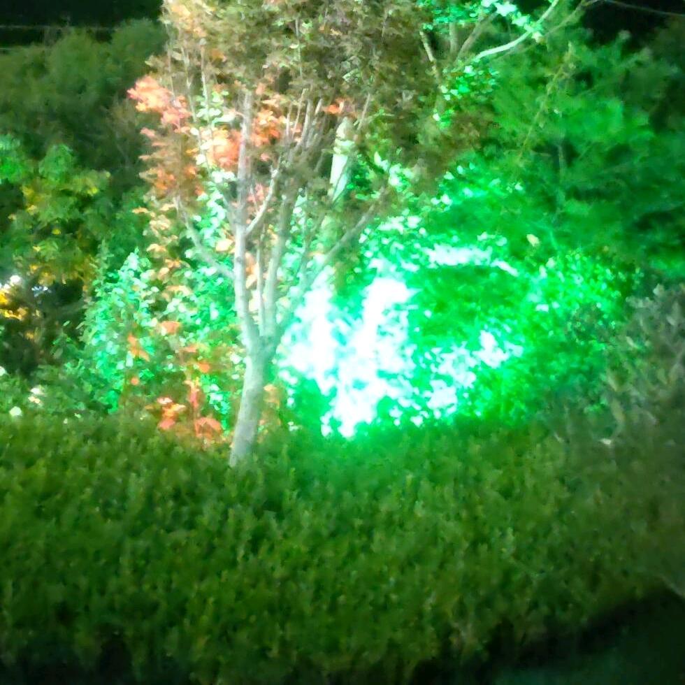 吃粮不忘种地人