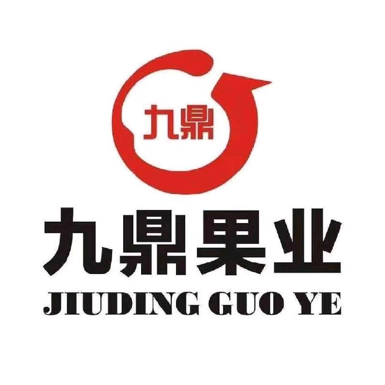 超哥的苹果