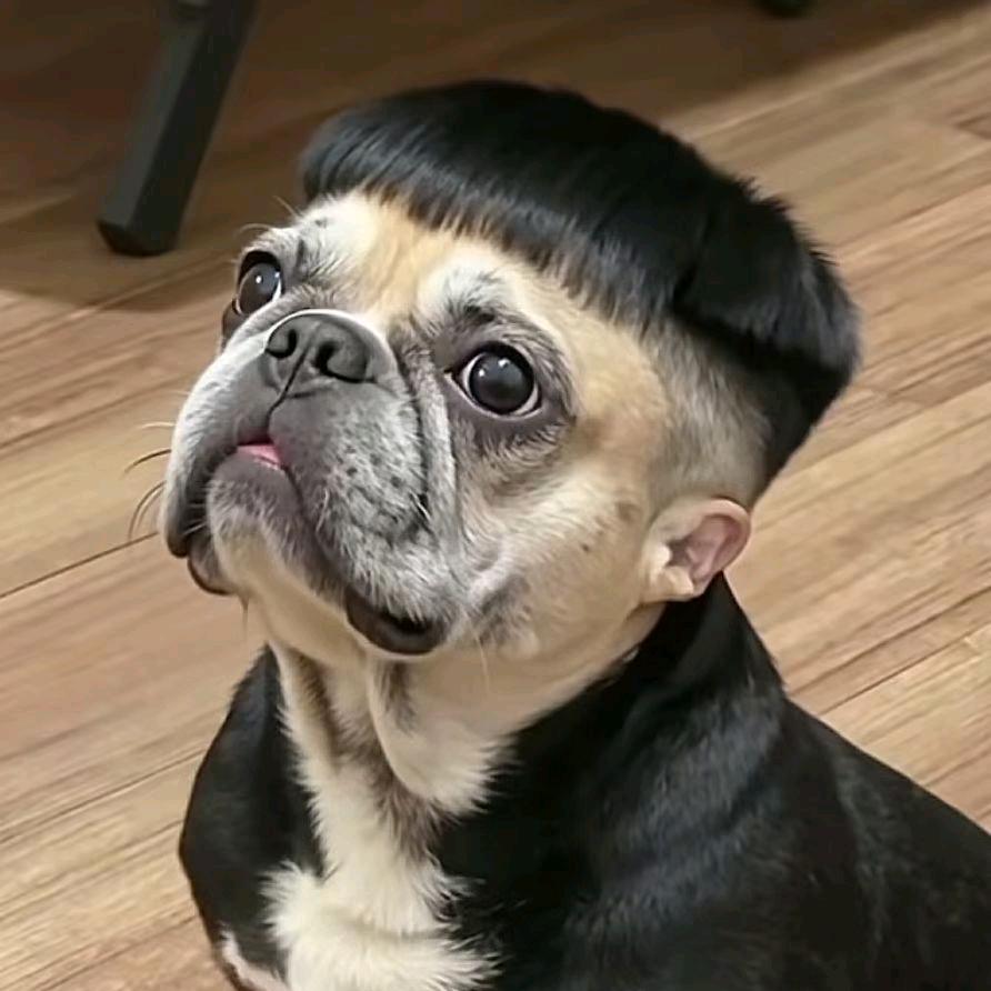 溧阳地头蛇❤️