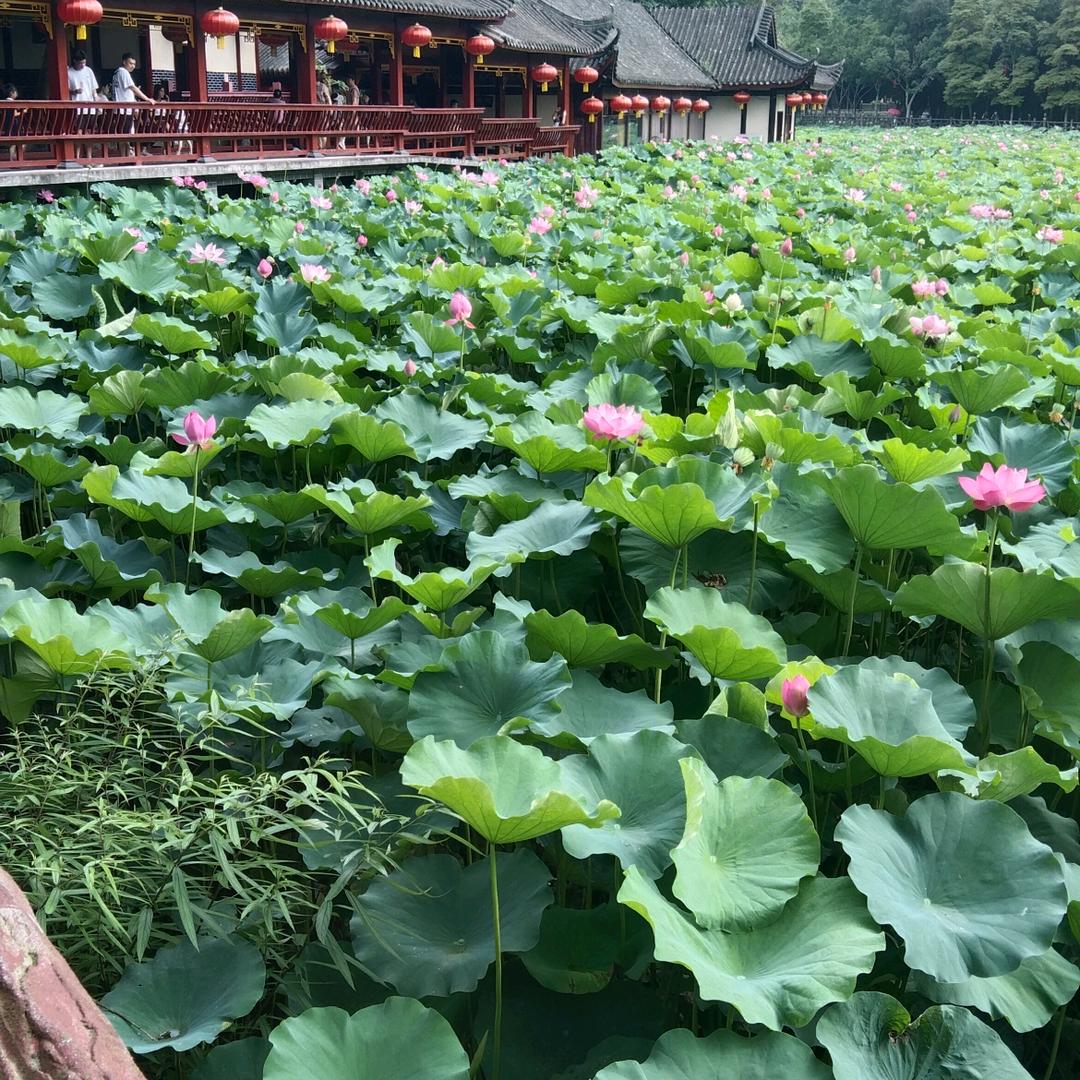 拼🌧️搏🌧️的❄️自🥃已❄️