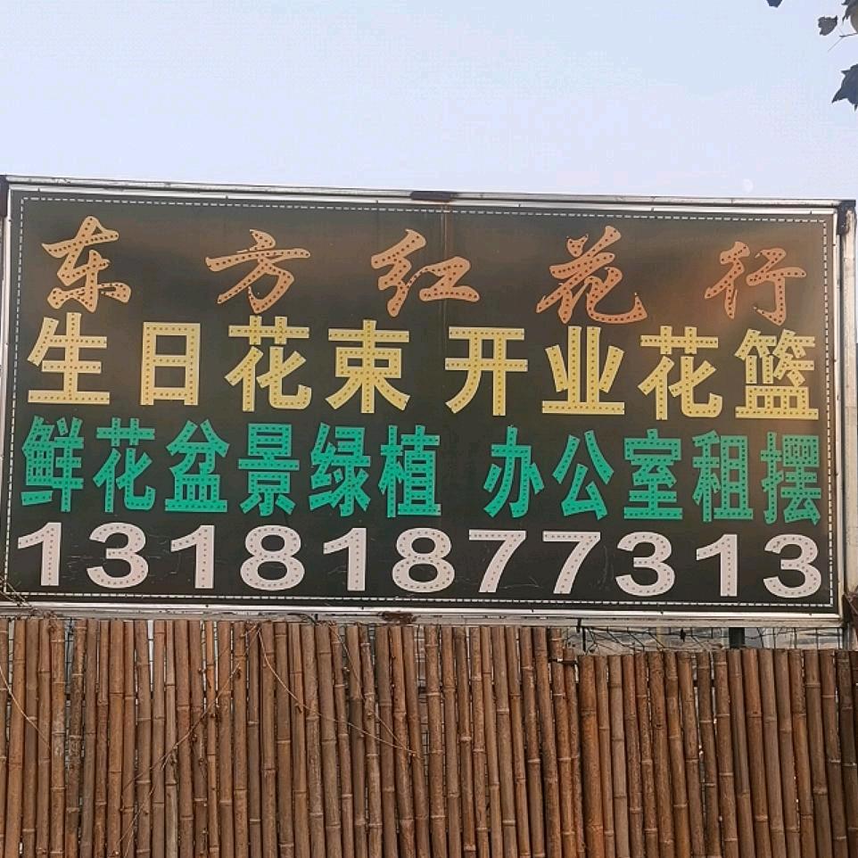 荣成市桃园街道东方红花行