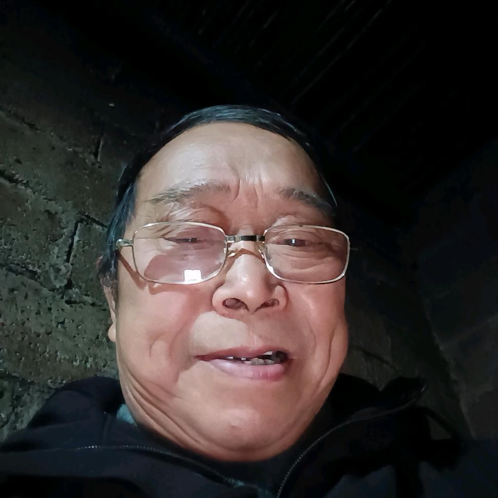 田井文