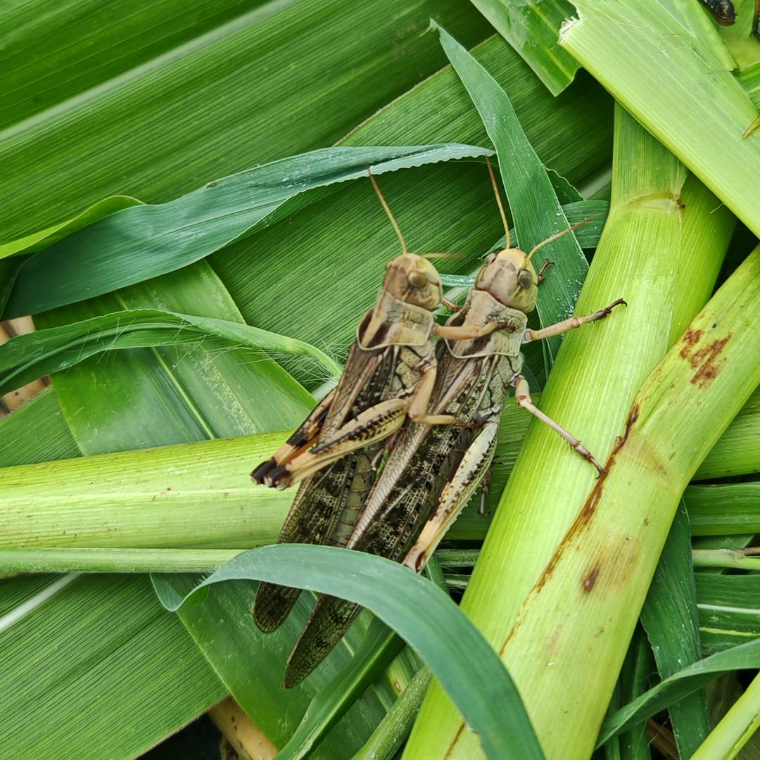 龙永征农副产品优品小铺