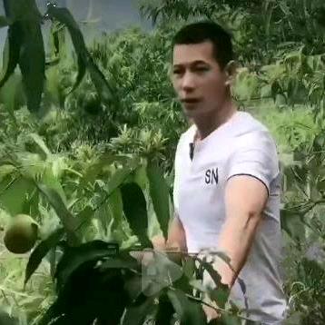 🐯猛虎出山猛龙过江🐅