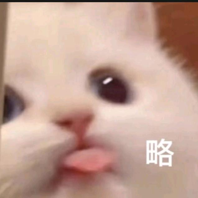 子柒