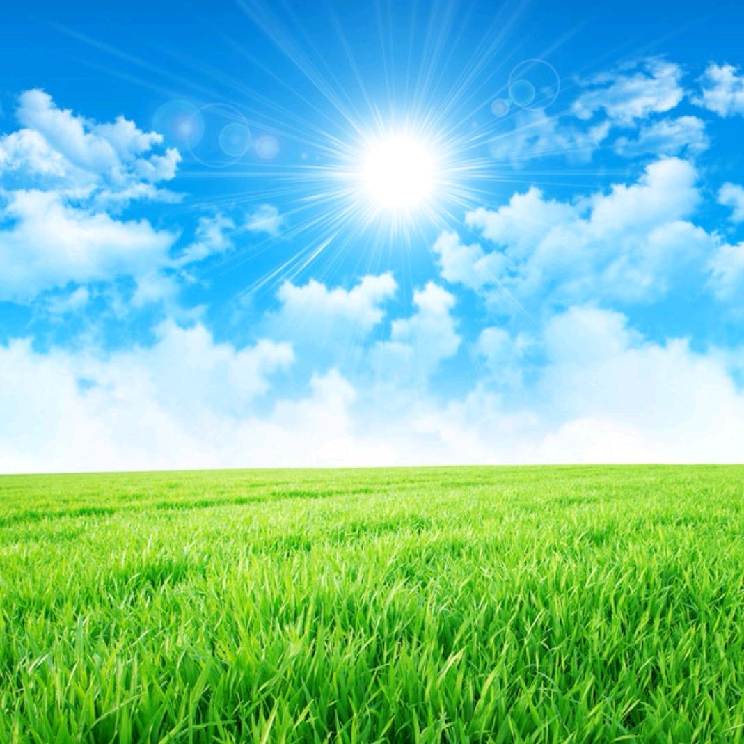 难得糊涂安之若命