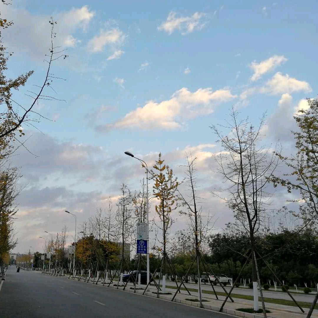 黄焖鸡。