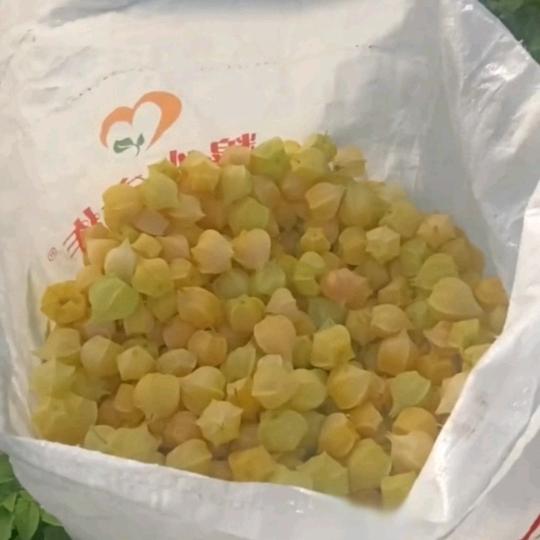 东北特产宇阳农产品店