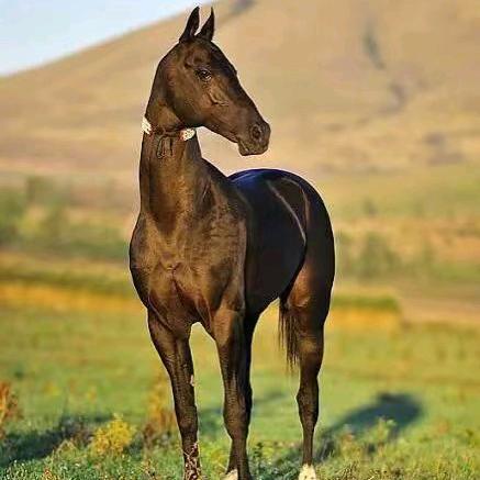 徐大顺品质服装鞋帽生活坊