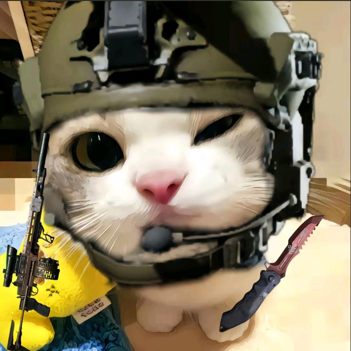 豺