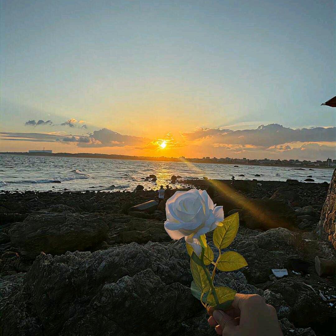 术白甄选
