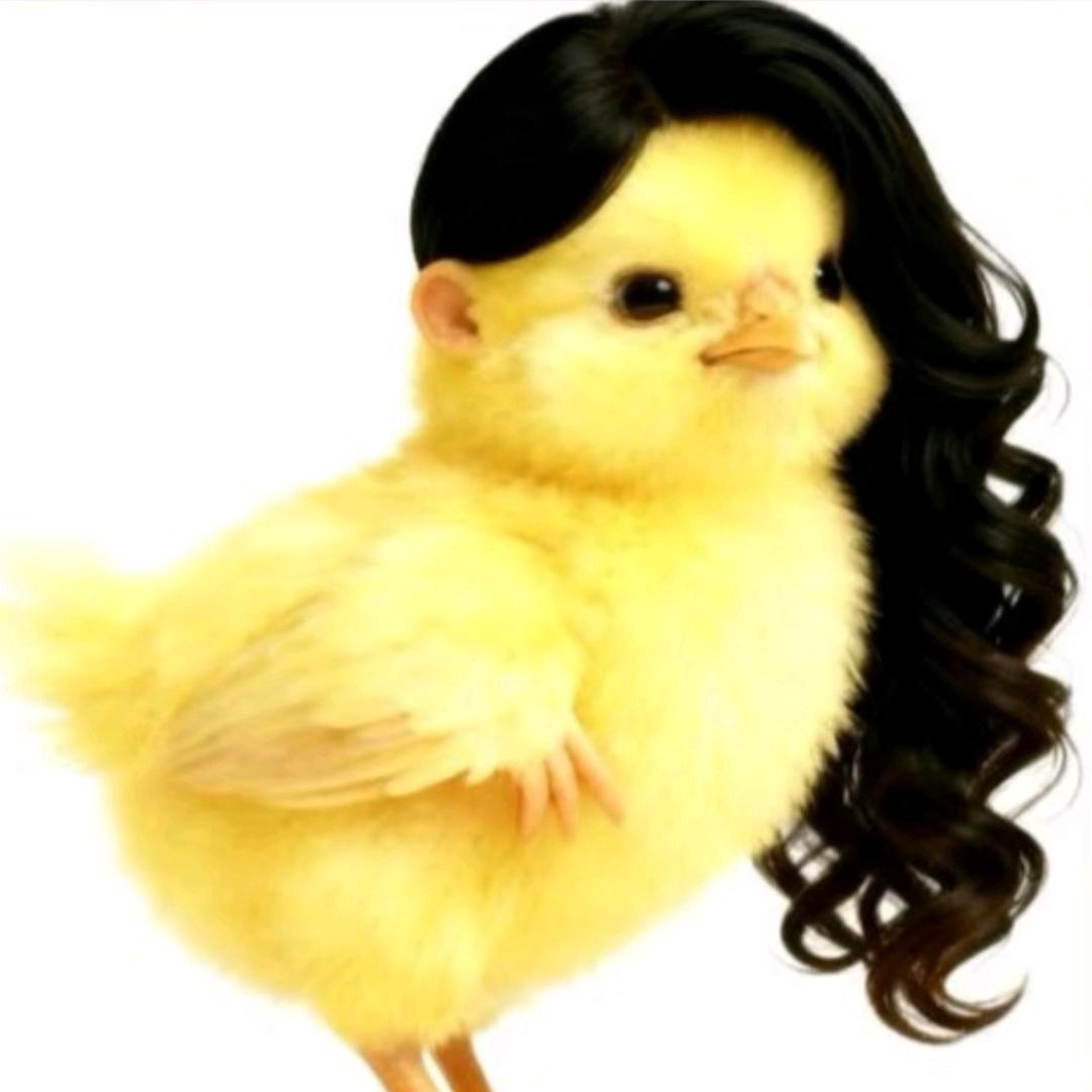 momo  .