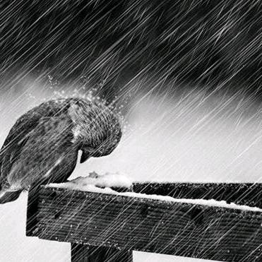 Go over 重温︴︴