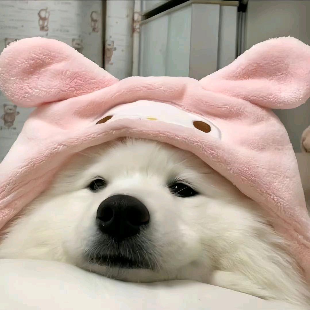 小光摇摇乐