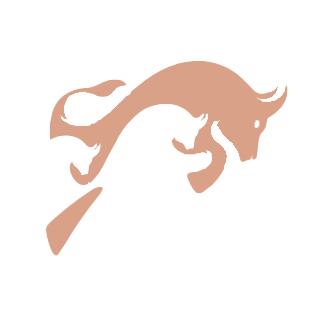 犇力不锈钢橱柜