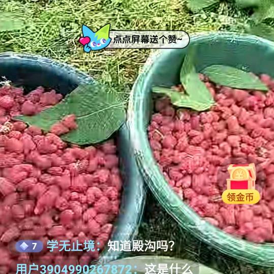 老冯