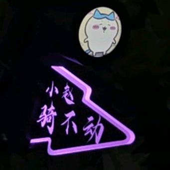 YYT公路车发光尾牌