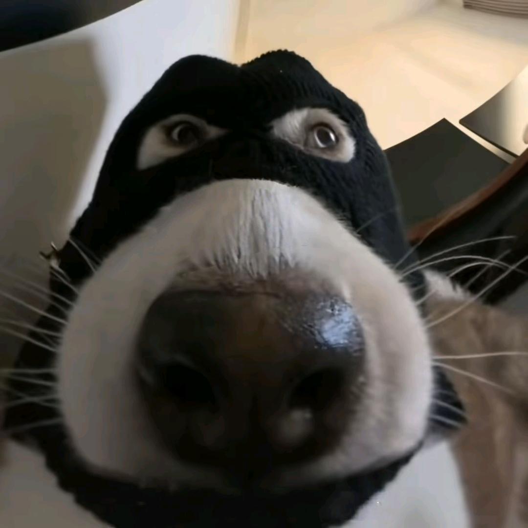 Tom.