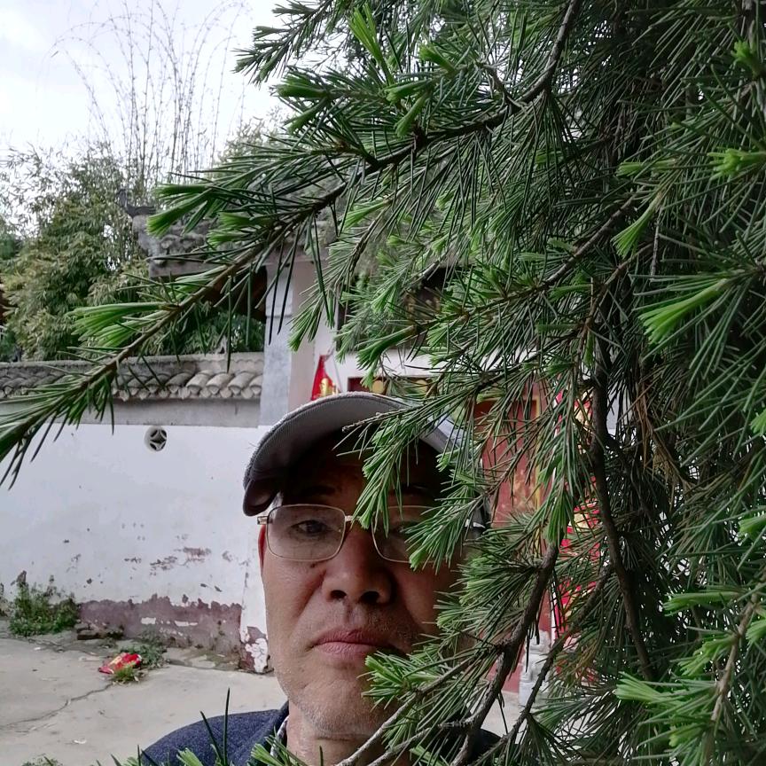 宛南风剪辑
