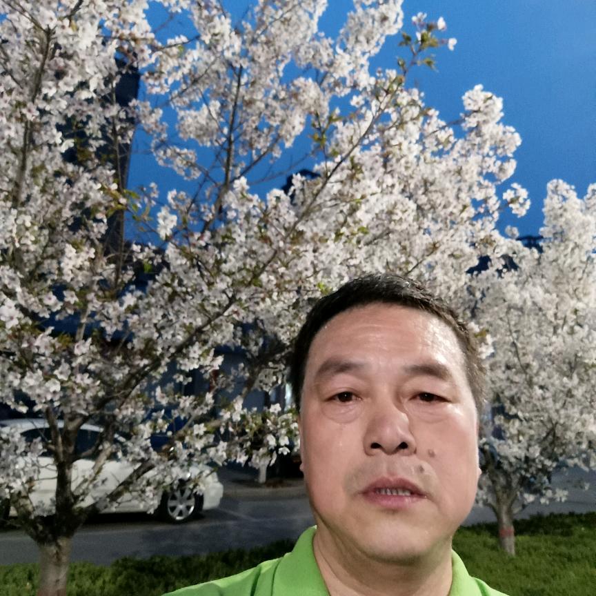 卖螺丝的宁哥