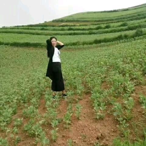 淡定人生