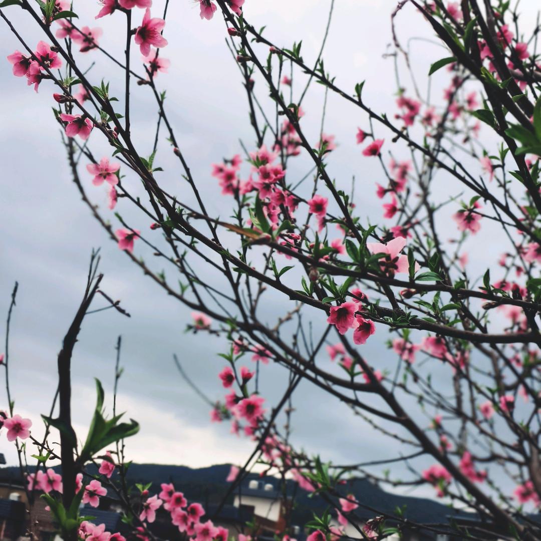 佳美卡通人偶服