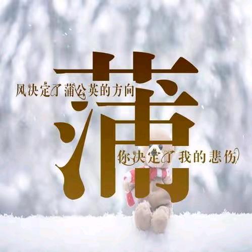 🌹珍惜现在🌹