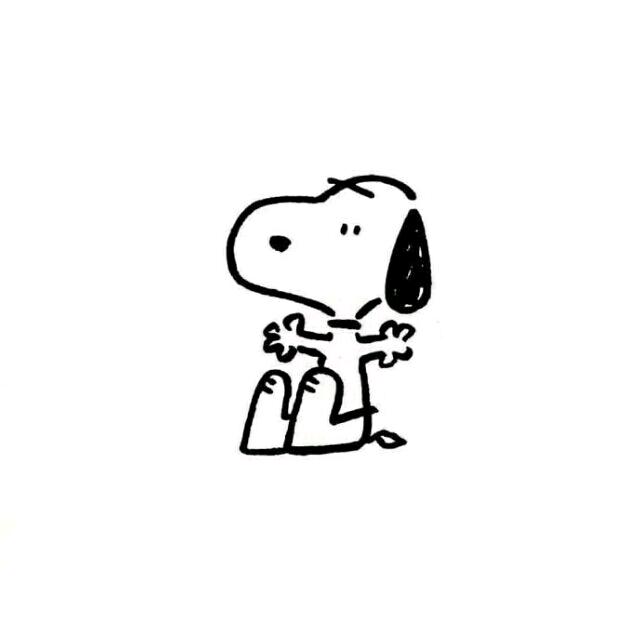 快乐狗蛋