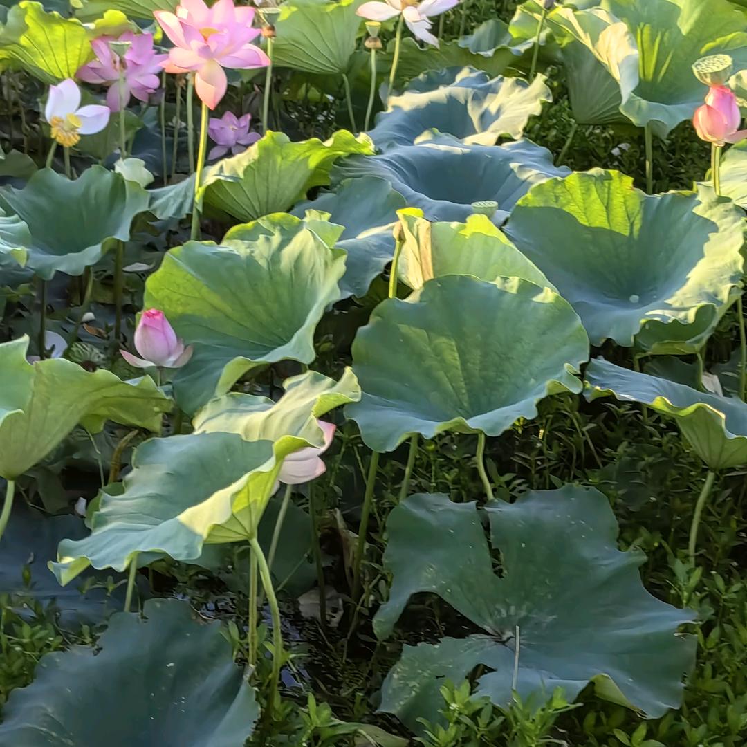 人生苦短，过好自己