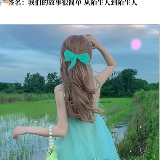 带刺的玫瑰