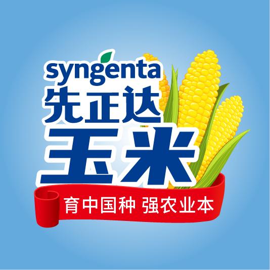 先正达玉米
