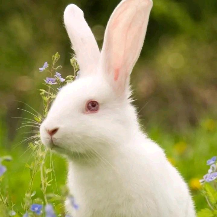 小发短剧（收徒）